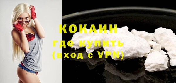 шишки Заволжье
