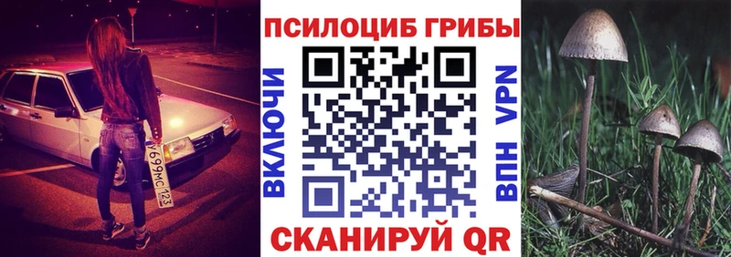 Псилоцибиновые грибы мицелий Новоаннинский